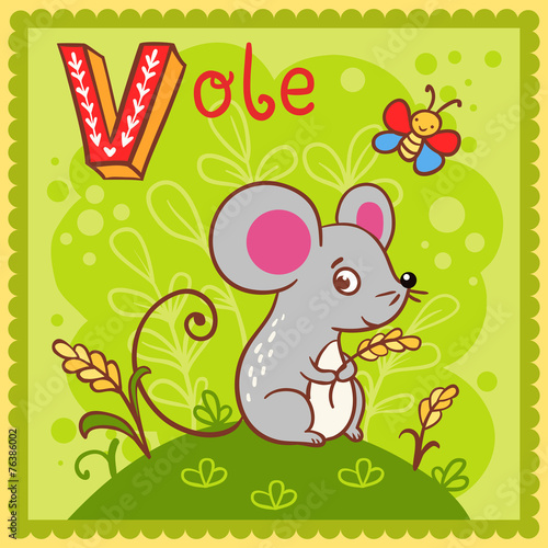 Illustrated alphabet letter V and vole.