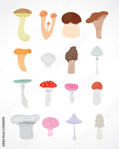 mushrooms