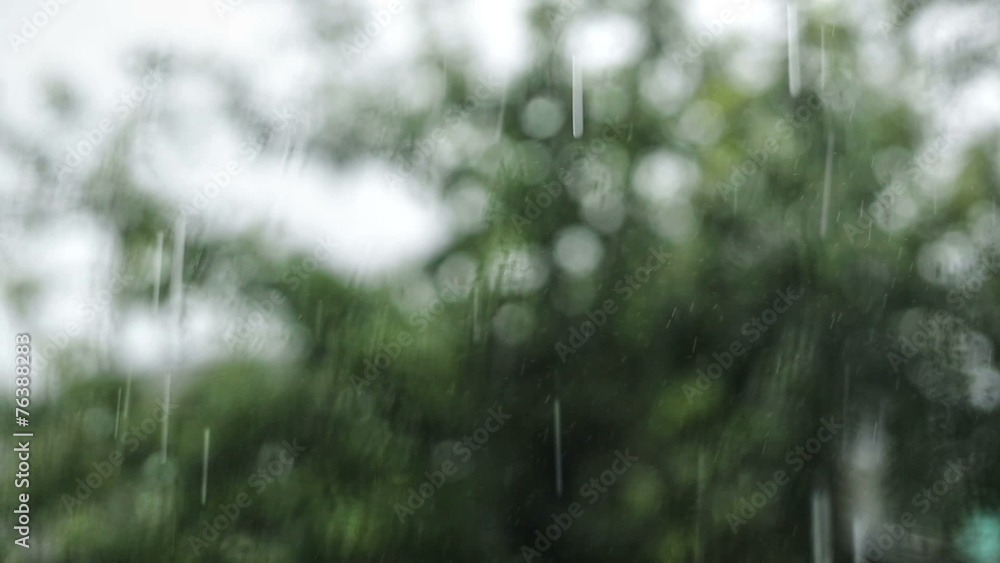 Rain Falls Rain Falls