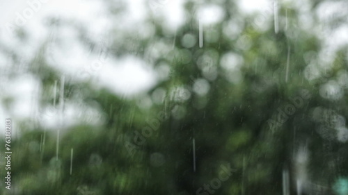 Wallpaper Mural Rain Falls Torontodigital.ca