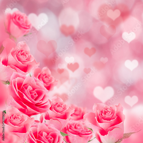Pink roses background
