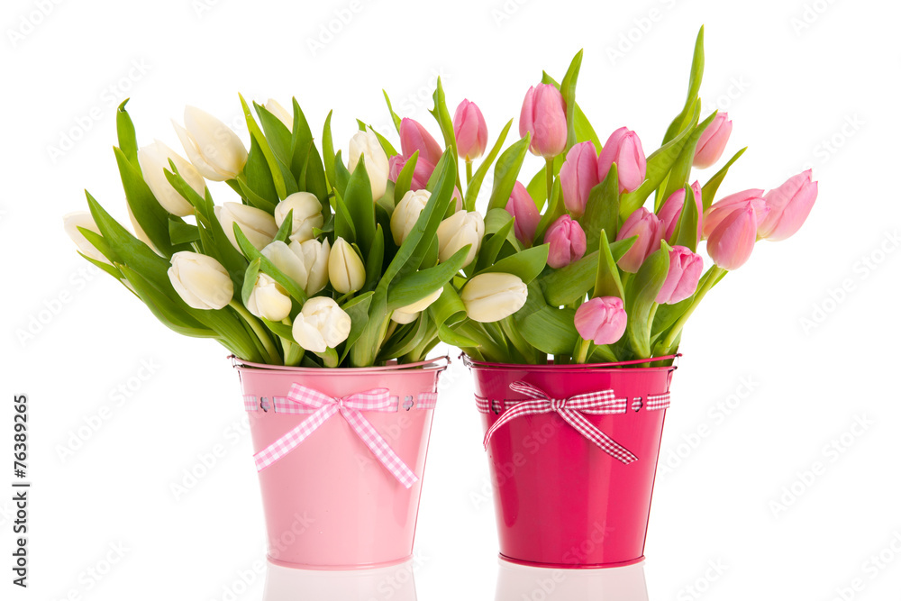 Obraz premium Pink and white tulips in buckets