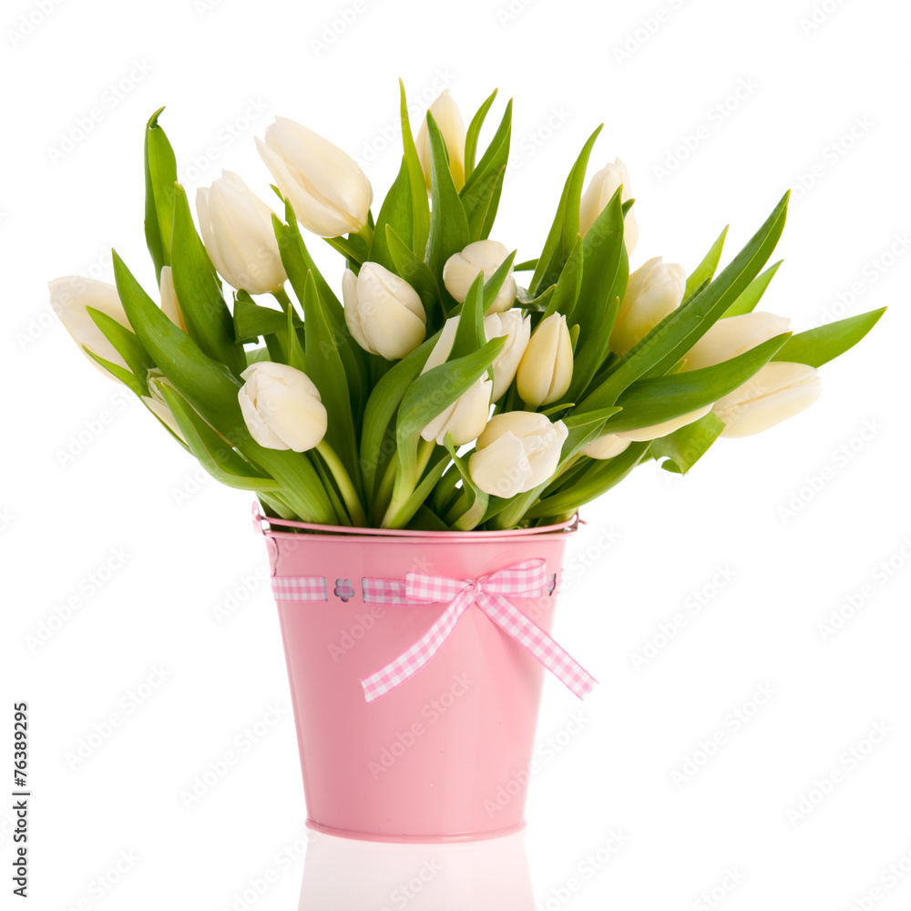 White tulips in pink bucket