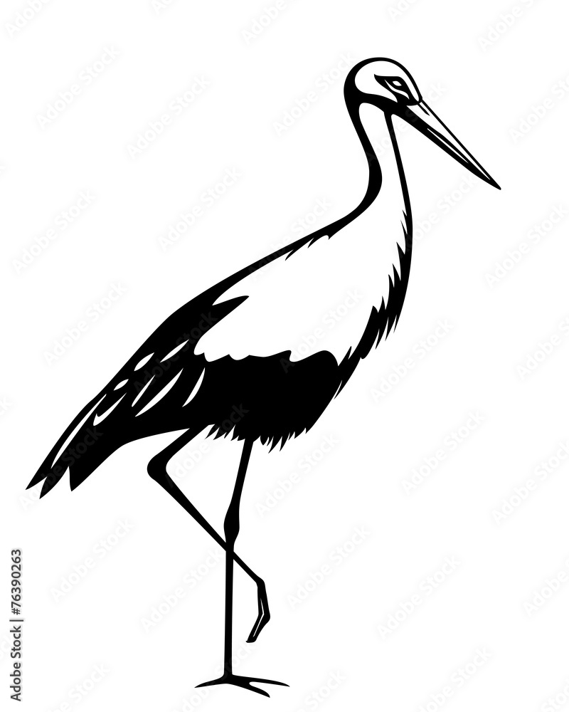 illustration of stork in black and white illustration of stork in black and white