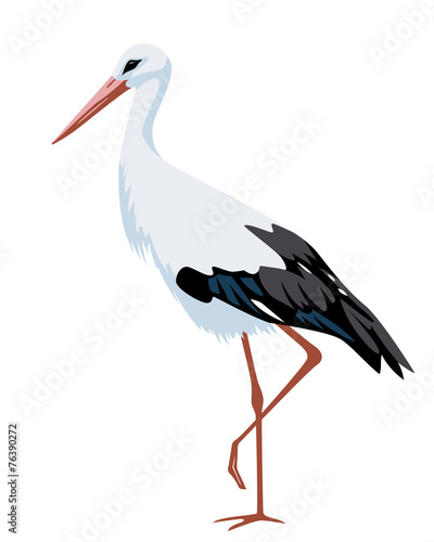 Wallpaper Mural illustration of stork
