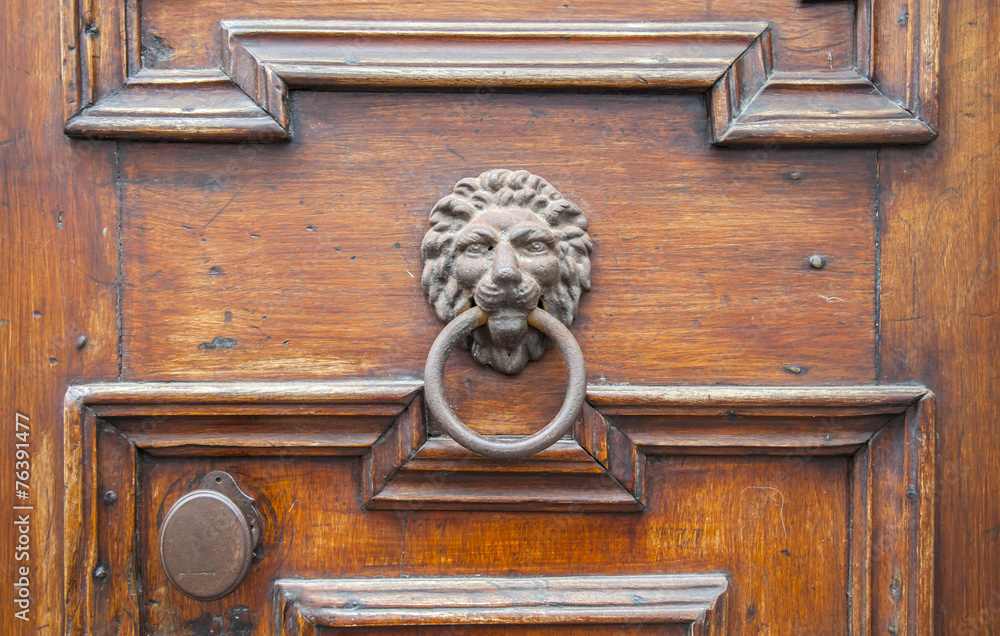 Italian door knocker: lion Italian door knocker: lion