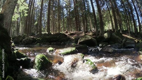 water stream in the woods