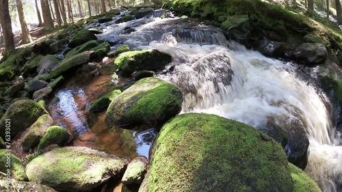 water stream in the woods