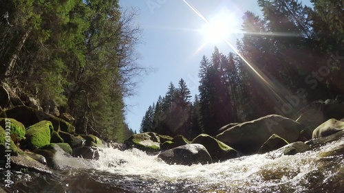 water stream in the woods