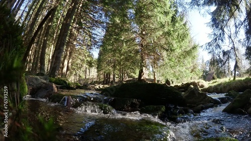 water stream in the woods