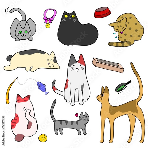 かわいい猫とグッズのセット