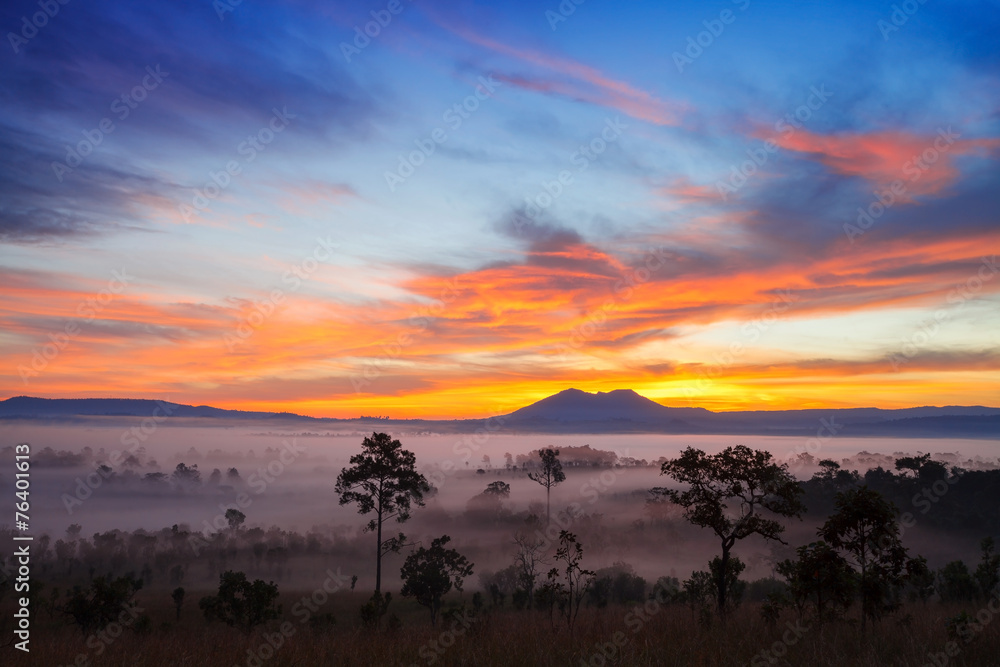 misty morning sunrise in mountain at Thung Salang Luang National misty morning sunrise in mountain at Thung Salang Luang National