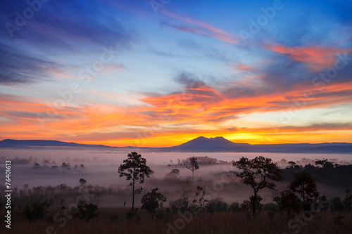 misty morning sunrise in mountain at Thung Salang Luang National photo