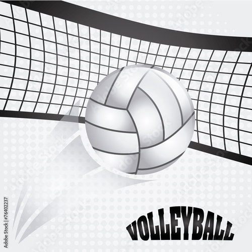 volleyball ball