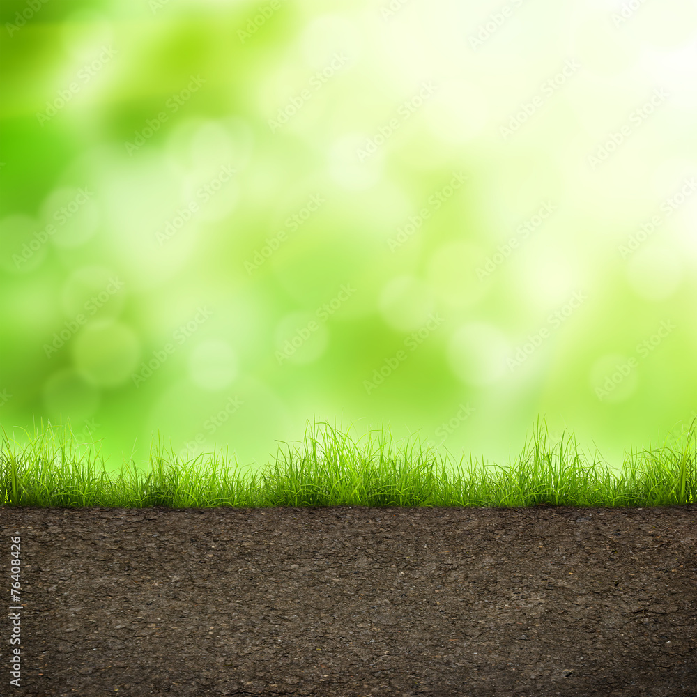 Naklejka premium grass