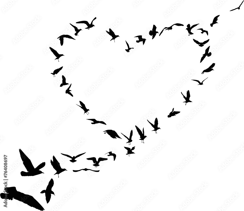 Obraz premium heart from gull silhouettes isolated on white