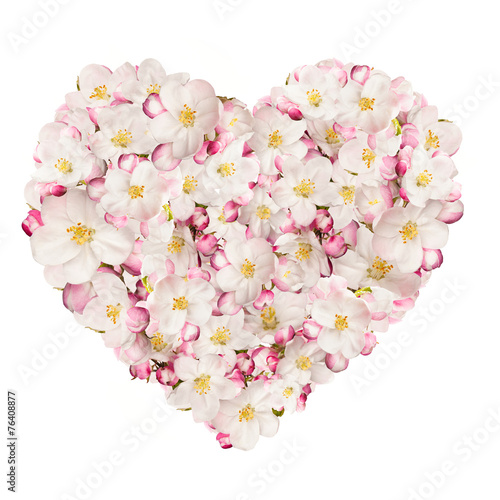 Fototapeta Naklejka Na Ścianę i Meble -  Spring heart