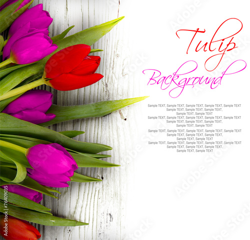 Fototapeta Naklejka Na Ścianę i Meble -  Tulip blooms