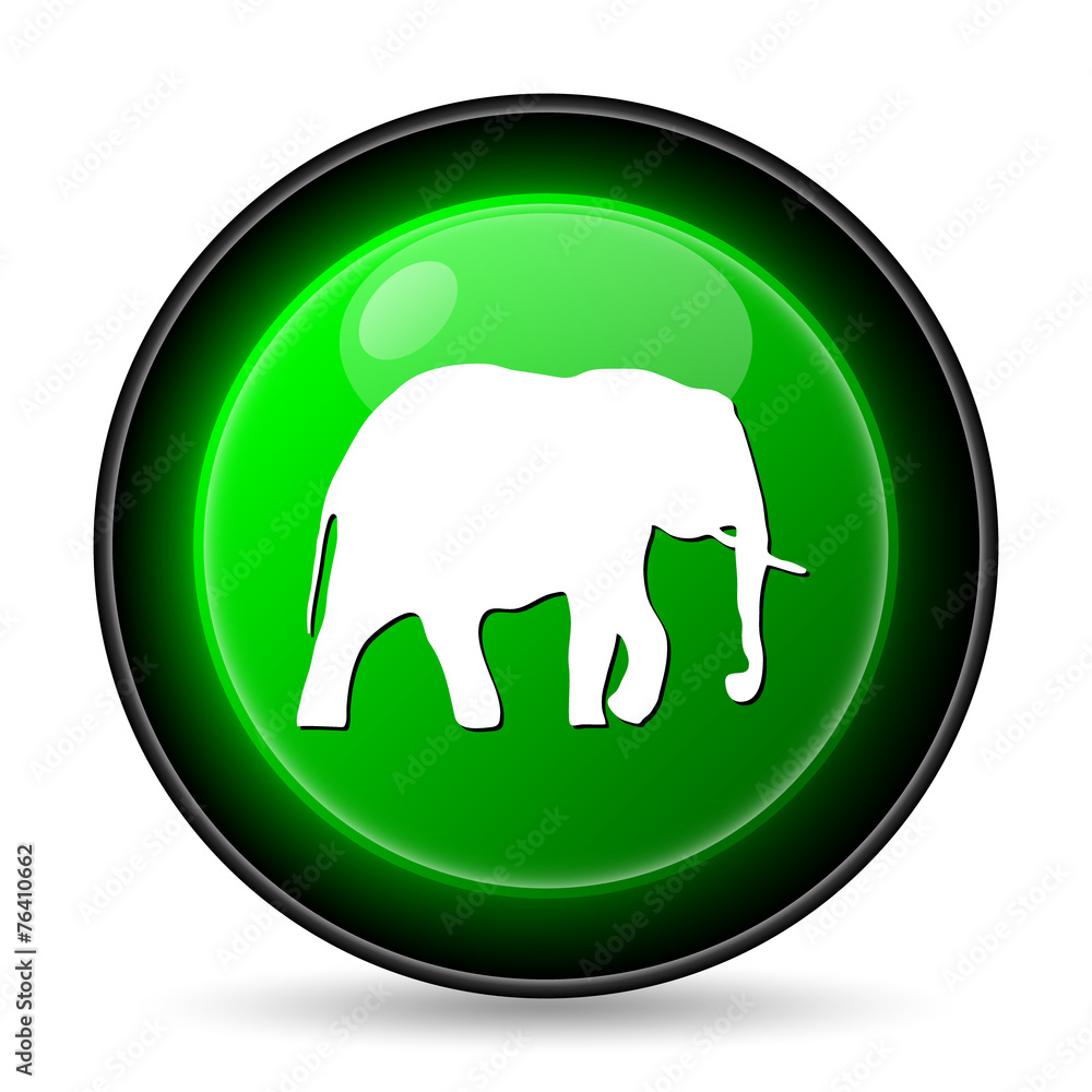 Elephant icon Elephant icon