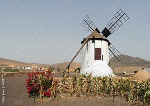 Moulin à vent à Tiscamanita à Fuerteventura