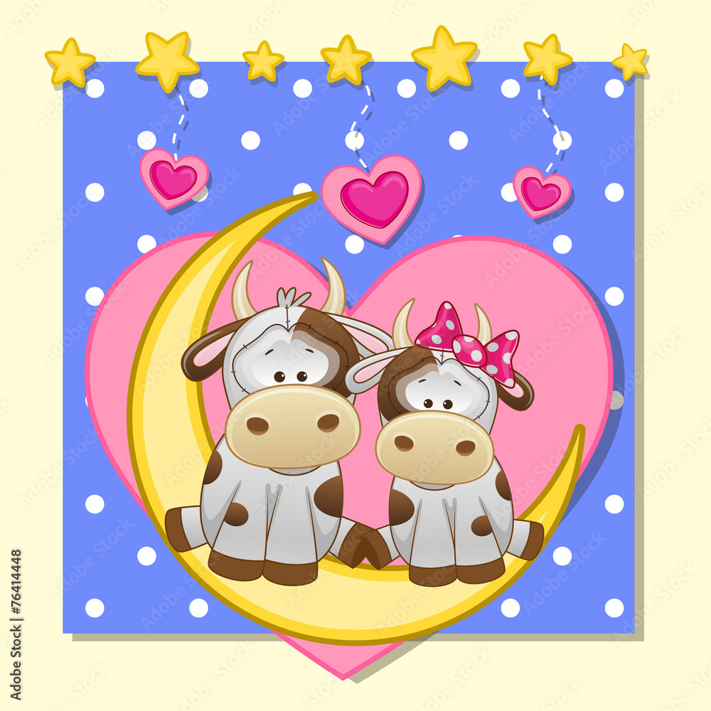 Lovers Cows Lovers Cows