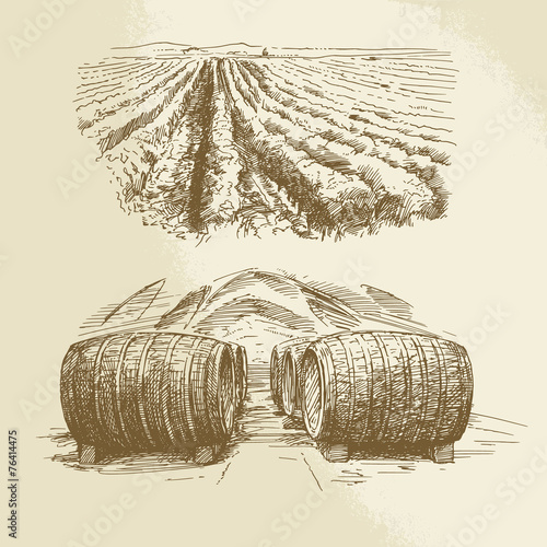 barrels, vineyard, harvest, farm - hand drawn collection