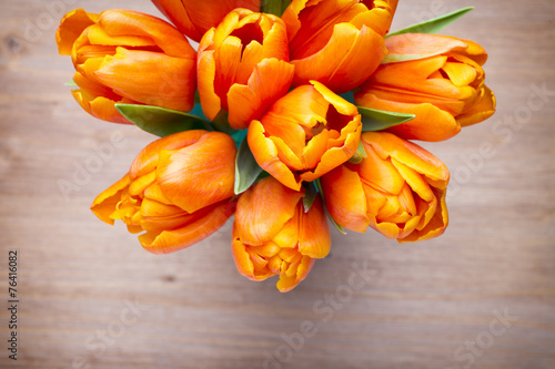 Fototapeta Naklejka Na Ścianę i Meble -  Tulip.