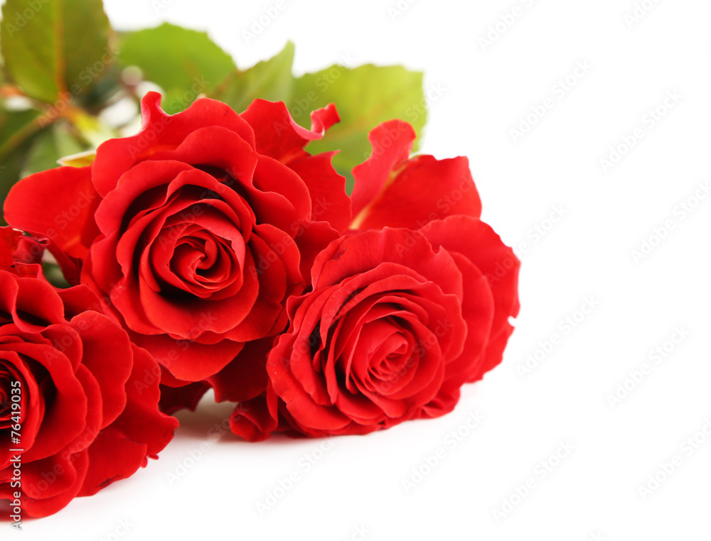 Bouquet of wonderful red roses isolated on white Bouquet of wonderful red roses isolated on white