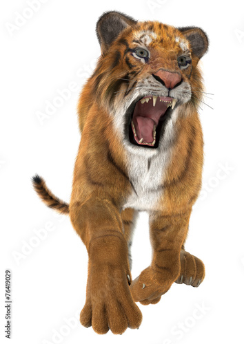 Fototapeta Naklejka Na Ścianę i Meble -  Hunting Tiger