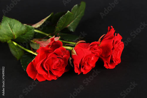 Fototapeta Naklejka Na Ścianę i Meble -  Bouquet of wonderful red roses on dark background