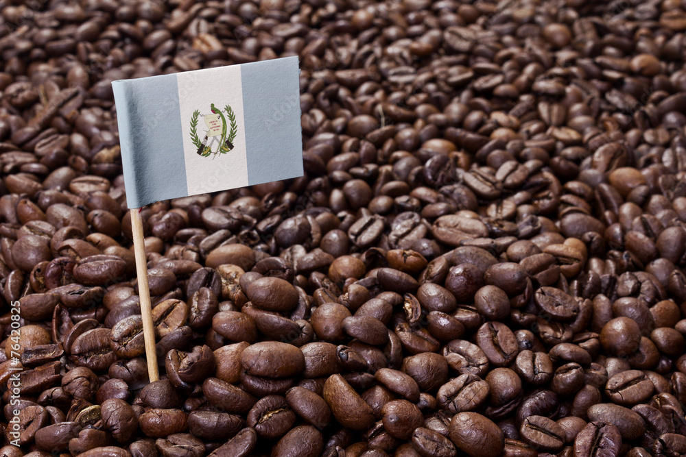 Fototapeta premium Flag of Guatemala sticking in coffee beans.(series)