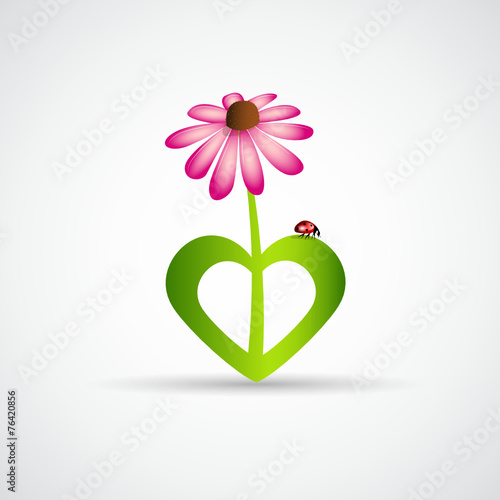 blumenherz