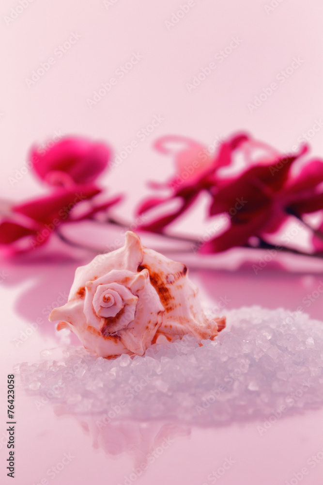 Bath salts and sea snail Bath salts and sea snail