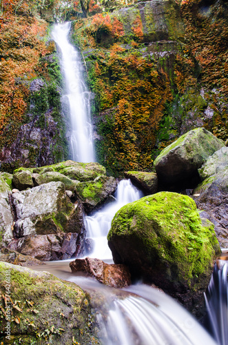 Fototapeta Naklejka Na Ścianę i Meble -  waterfall in deep forest,