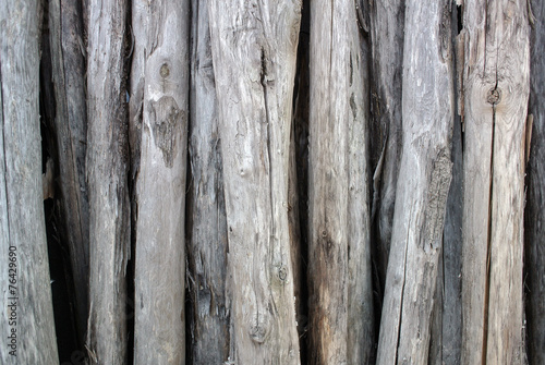 Piles of dry wood