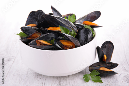 mussel