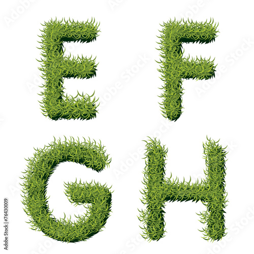 Green Grass Alphabet E F G H