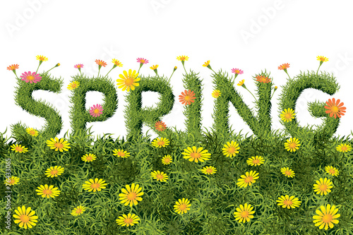 Flowers Spring Field Season Background with Word