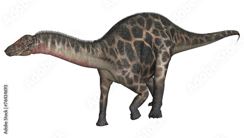 Fototapeta Naklejka Na Ścianę i Meble -  Dinosaur Dicraeosaurus