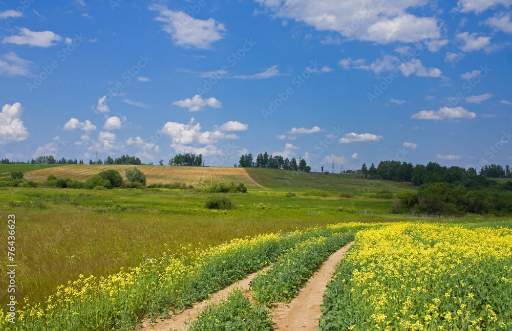 Rural landscape Rural landscape