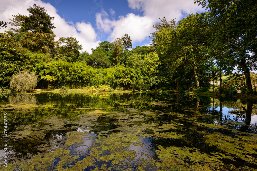 Lago do Jardim nas Furnas, São Miguel Lago do Jardim nas Furnas, São Miguel