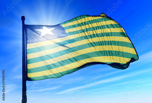 Piaui (Brazil) flag waving on the wind photo