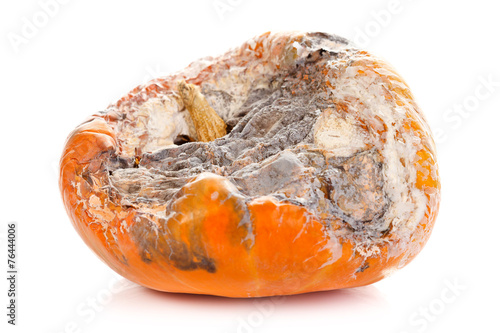 Rotten pumpkin