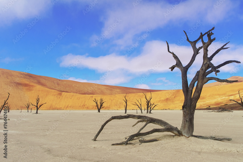 Landscape of Dead Vlei desert, Namibia, South Africa