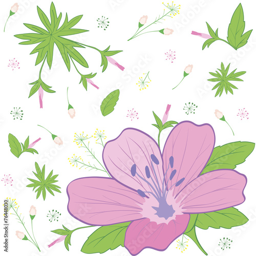 Fototapeta Naklejka Na Ścianę i Meble -  flower forest geranium