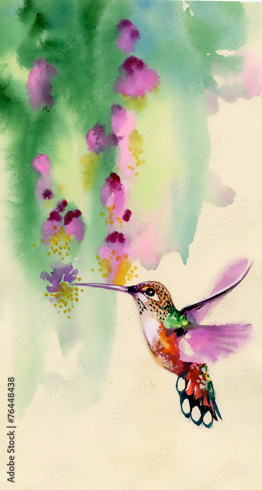 Fototapeta premium Drawing of colibri bird and flowers