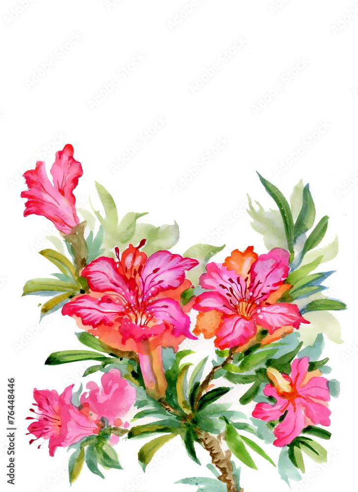 Obraz premium Bouquet of colorful wildflowers