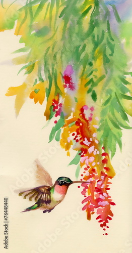Drawing of colibri bird and flowers