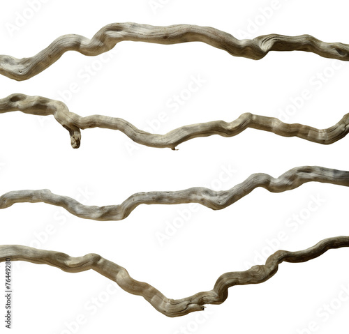 Bois flottés de rivière détourés