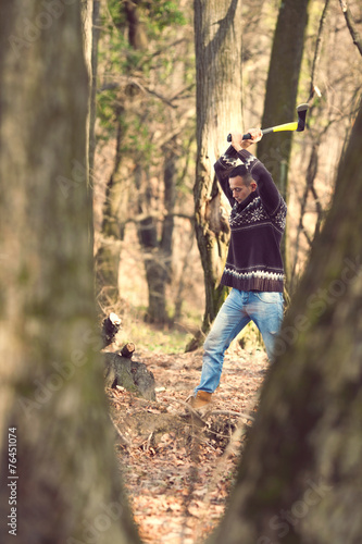 Lumberjack cutting the tree with an axe in the forest